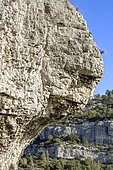 Surplomb rocheux d'une falaise calcaire évoquant un sphinx ou une tête de lion, Fontaine-de-Vaucluse, Vaucluse, Provence, France