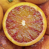 Half-blood orange