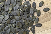 Graines nues (sans écale) de Courge de Styrie (Cucurbita pepo var. styriaca)