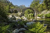 Old Genoa Bridge, Sampolu, near Ghisonaccia, Département Corse-du-Sud, Corsica, France, Europe