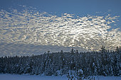 Clouds over the boreal forest. La Mauricie National Park. Quebec. Canada
