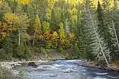 Sainte Anne River and autumn colours. Parc de la Gaspésie. Quebec. Canada.