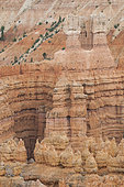 Hoodoos of a Bryce canyon national park, Utah, USA