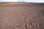 Reg (stone desert) in the Atacama Desert, Chile.
