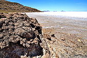 Pleistocene stromatolites, Isla del Pescado, Salar d'Uyuni, Altiplano, Bolivia.