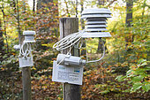 Sensors for studying the adaptation of Durmast Oak (Quercus petraea) to climate change, Forêt de Tronçais, Allier, France