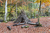 Bivouac in the forest in autumn, Auvergne, France