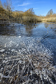 Methane bubbles trapped in the ice of a Bugey pond. Methane production by bacteria living in silt without oxygen, Bugey, Ain, France