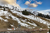 Small and big chamois trails, no snow in winter, La Clusaz, Global warming, Col de Merdassier, Alt 1500m, Alps, Haute-Savoie, France