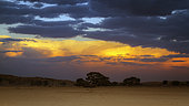 Sunset with cloud in desert of Kgalagadi transfrontier park, South Africa