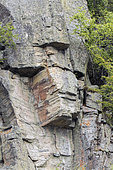 Rock resembling a human figure. La Mauricie National Park. Quebec. Canada