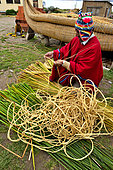 Aymara working the totora (Schoenoplectus californicus subsp. tatora), Lake Titicaca, Bolivia
