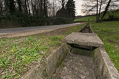 Amphibian passageway that facilitates the migration of amphibians. Passage under the road, Mont Saint-Quentin, Lorraine, France