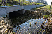 Amphibian passageway that facilitates the migration of amphibians. Passage under the road, between Arry and Corcy, Lorraine, France
