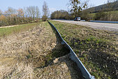 Amphibian passageway that facilitates the migration of amphibians. Passage under the road, between Arry and Corcy, Lorraine, France