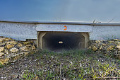 Amphibian passageway that facilitates the migration of amphibians. Passage under the road, between Arry and Corcy, Lorraine, France