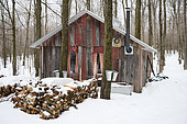 Lucille and Charles' cabin in a sugar bush, Saint-Barthélemy, Lanaudière, Quebec, Canada