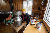 Canning maple syrup and closing the cans in a sugar shack at sugar time, Saint-Barthélemy, Lanaudière, Quebec, Canada