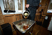 Making maple syrup in a sugar shack in a maple grove at sugar time, Saint-Barthélemy, Lanaudière, Quebec, Canada