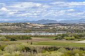 Looking over the Rhone Valley and village of Chateauneuf-du-Pape in early spring, the Dentelles de Montmirail in the background, Provence, France
