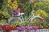 Bicycle in a flowery bed, France, Bas Rhin, summer