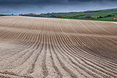 Furrows in a field, limestone soil, spring, Pas de Calais, France