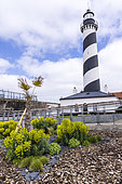 Gravelines lighthouse, spring, Petit-Fort-Philippe, North, France