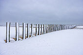 Sangatte beach under the snow, Opal Coast, Pas-de-Calais, France
