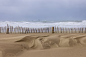 Chestnut wood slats, retaining sand in winter, Calais, France