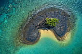 Tiny islet. A tiny islet with a single mangrove tree in the lagoon of Mayotte.