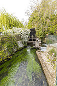 The Mill Anquetil on veules river, Veules-les-Roses, Seine Maritime, Haute Normandie, France