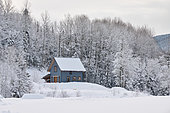 Cottage on the edge of the forest, L'Anse St Jean, Saguenay lac St Jean region, Province of Quebec, Canada