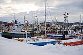 Boats at the quay, Port de l'Anse au Griffon in winter, Gaspésie, Province of Quebec, Canada