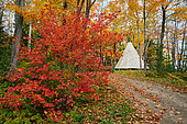 Tipi in the forest, Autumn atmosphere, Saguenay lac St Jean region, Province of Quebec, Canada