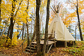 Tipi in the forest, Autumn atmosphere, Saguenay lac St Jean region, Province of Quebec, Canada