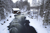 Wooden house along a river in Oulanka Park at sunrise in winter, Finland