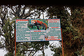 Explanatory panel, Mossy oak forest in the sub-alpine zone, Red Panda habitat, Singalila National Park, Himalayas, Nepal