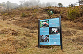 Explanatory panel, Mossy oak forest in the sub-alpine zone, Red Panda habitat, Singalila National Park, Himalayas, Nepal