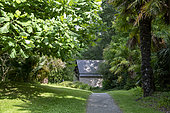 Botanical Conservatory Garden of Brest, Finistère, Brittany, France