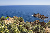 View of the Mediterranean Sea from the tip of the Cap Taillat peninsula, Ramatuelle, Var, French Riviera, France