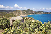The coastline towards the tip of Canadel and its turquoise waters seen from the peninsula of Cap Taillat covered with Jupiter's Beard (Anthyllis barba-jovi), Ramatuelle, Var, French Riviera, France