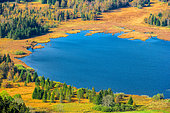 Bellefontaine lake and its peat bog in autumn, Jura, France