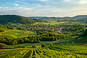 AOC vineyard, Voiteur, Jura, France