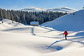 The Hautes Combes, Snowshoeing, in the background: the Jura Mountains, Jura, France