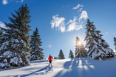 The Hautes Combes, Snowshoeing, Jura, France