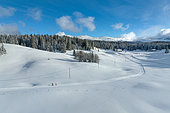 The Hautes Combes, Nordic skiing, in the background: the Jura Mountains, Jura, France