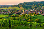 Arbois et son vignoble AOC, Arbois, Jura , France