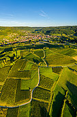 Arbois and its AOC vineyards, Arbois, Jura, France