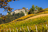 Château-Chalon, 'Most beautiful village in France', AOC vineyard, capital of Vin Jaune, Jura, France