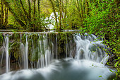 Tufs waterfall, Les planches-près-d'Arbois, Jura, France